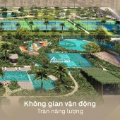 Bán Chung cư Trinity Square - Masteri - Vinhomes Ocean Park2